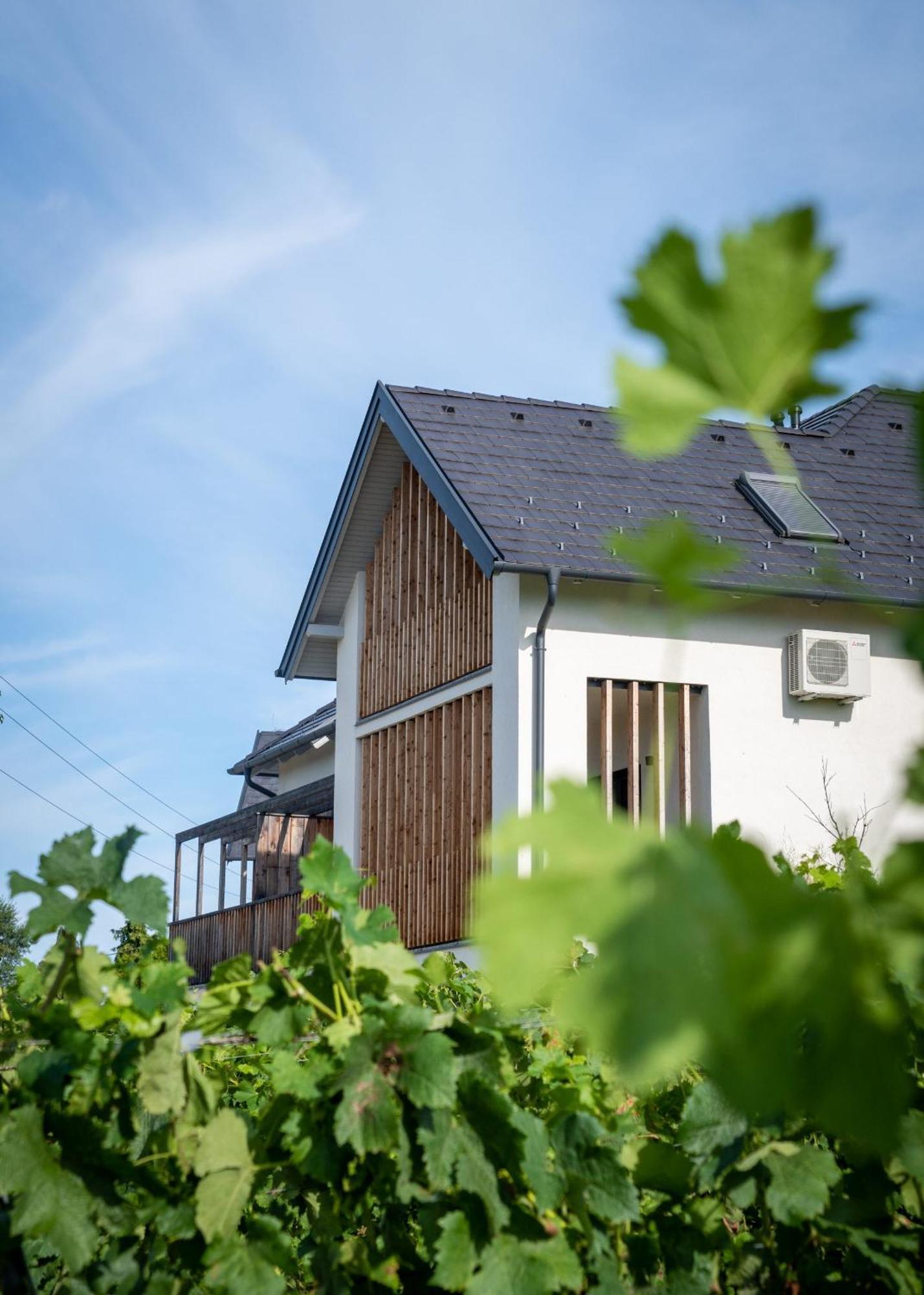 Domaine Edegger - Organic Winery Badacsony Aparthotel Badacsonytomaj Exteriör bild